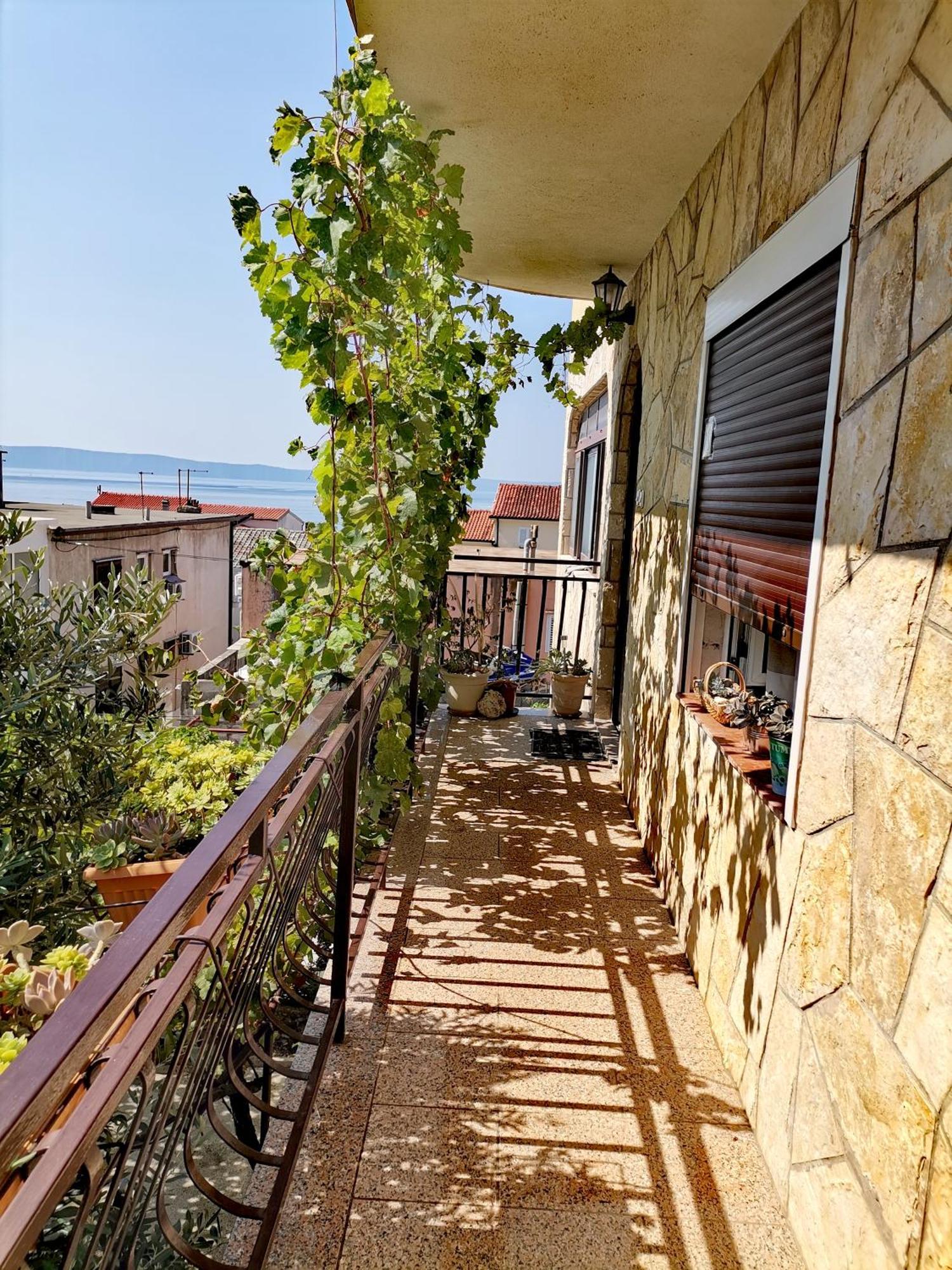 Villa Mia Makarska Exteriör bild
